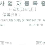 Nitaro Digital Marketing Korea online advertising PPC SEO social media